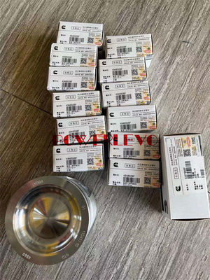 S6D107 Silnik Cylinder Liner, QSB6.7 Pierścienie tłokowe i łożyska